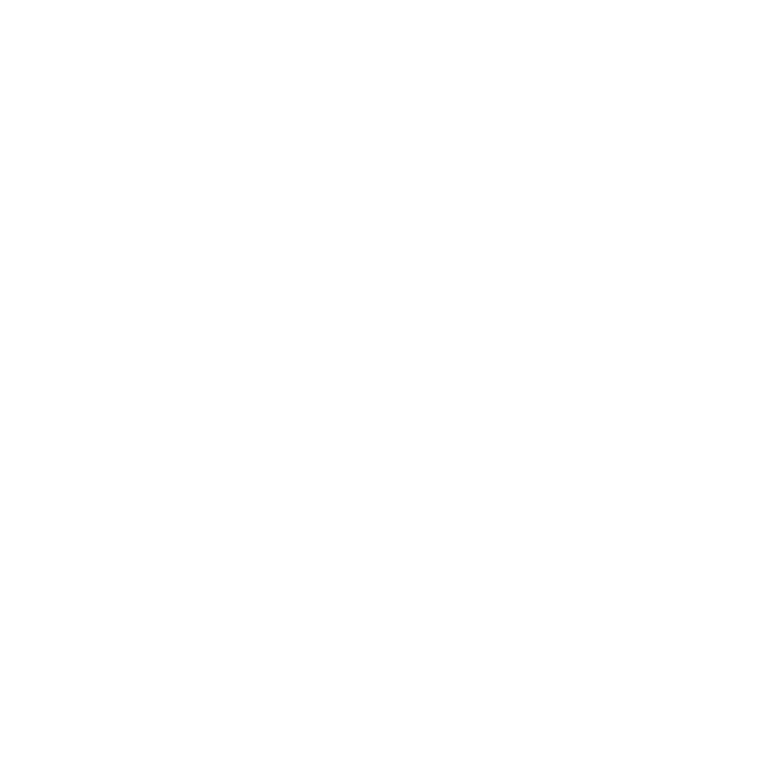 Aethia Watch Company USA